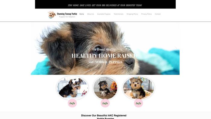 Sweetbabyyorkies4adoption.com - Yorkshire Terrier Puppy Scam Review