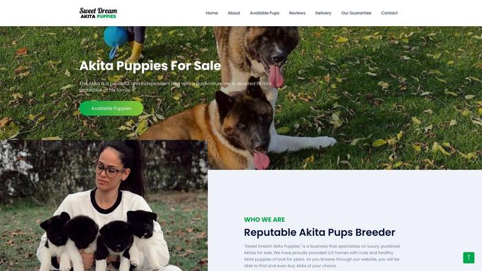 Sweetdreamakitapuppies.com - Akita Puppy Scam Review