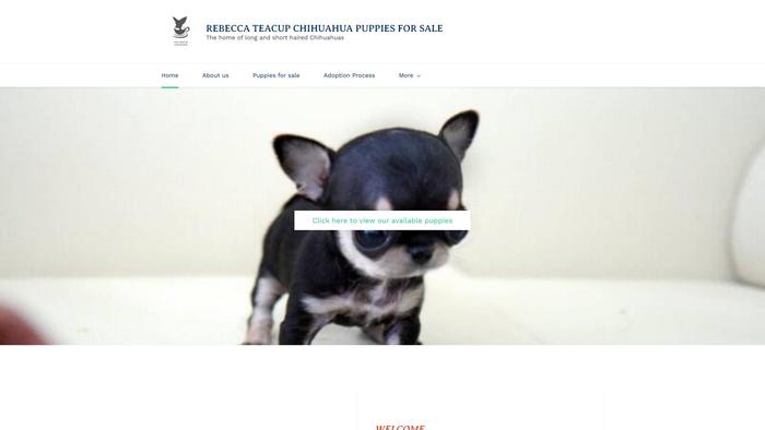 Teacupchihuahuashome.net - Chihuahua Puppy Scam Review