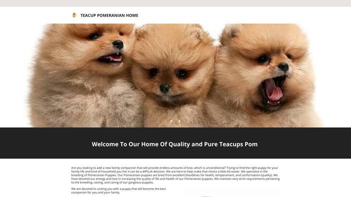 Teacuppomeraniandogs.com - Pomeranian Puppy Scam Review