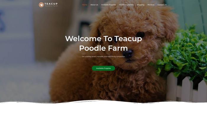 Teacuppoodlefarm.com - Poodle Puppy Scam Review