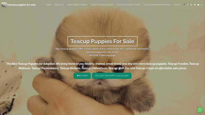 Teacuppuppiesforsalenearme.com - Yorkshire Terrier Puppy Scam Review