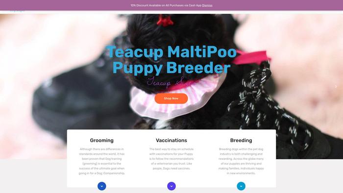 Teacuptoymaltipoopuppies.com - Maltipoo Puppy Scam Review