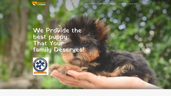 Teacupyorkiez.com - Yorkshire Terrier Puppy Scam Review