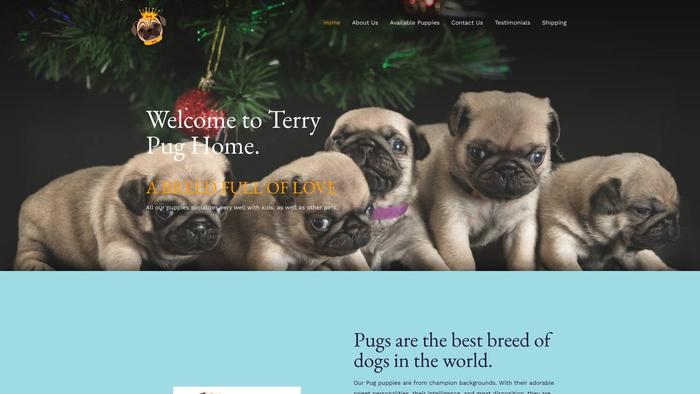 Terrypugpuppies.com - Pug Puppy Scam Review