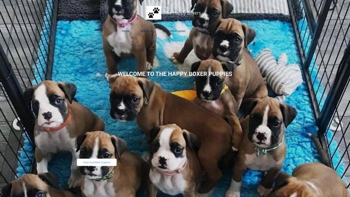 Thehappyboxers.com - Boxer Puppy Scam Review