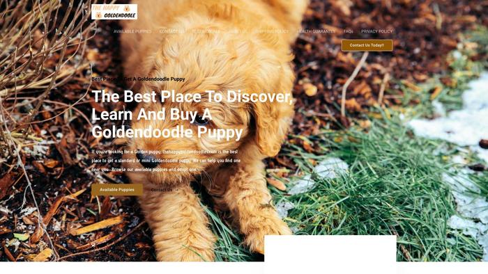 Thehappygoldendoodles.com - Golden Doodle Puppy Scam Review