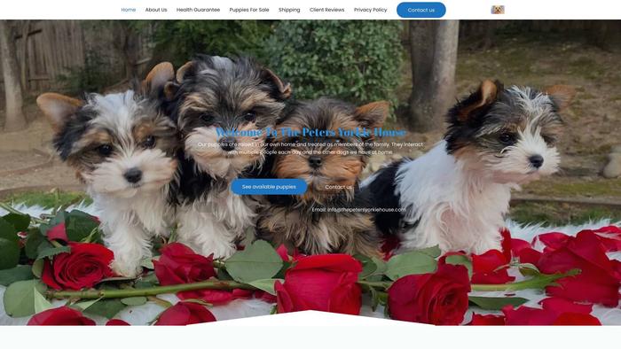 Thepetersyorkiehouse.com - Yorkshire Terrier Puppy Scam Review