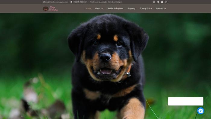 Therottweilerpuppies.com - Rottweiler Puppy Scam Review