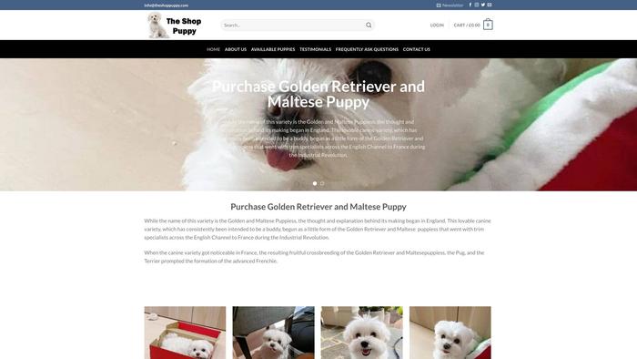 Theshoppuppy.com - Maltese Puppy Scam Review