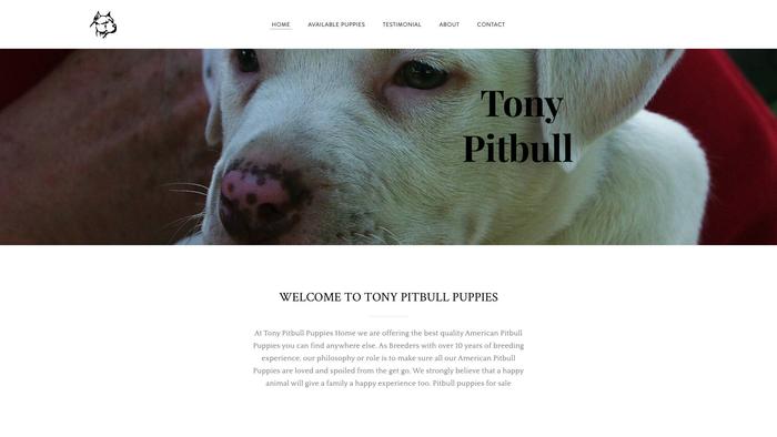 Tonypitbullpuppiesforsale.com - Pit Bull Puppy Scam Review