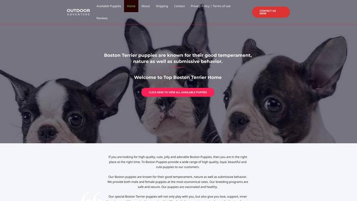 Topbostonterrierpups.com - Boston Terrier Puppy Scam Review