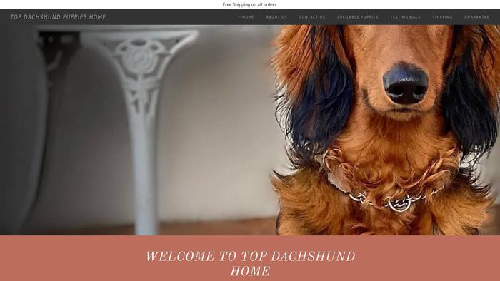 Topdachshundpupshome.com - Dachshund Puppy Scam Review