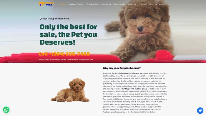 Toypoodleworld.com - Poodle Puppy Scam Review