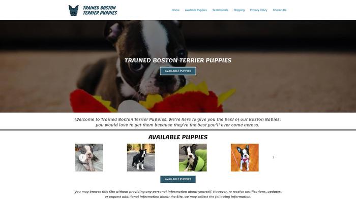 Trainedbostonterrierpuppies.com - Boston Terrier Puppy Scam Review