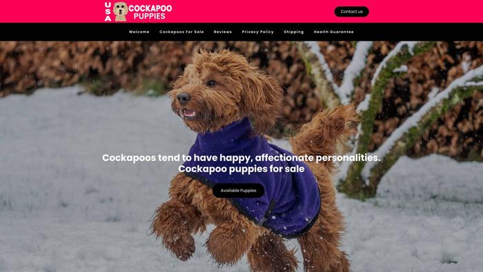 Usacockapoopuppies.com - Cockapoo Puppy Scam Review