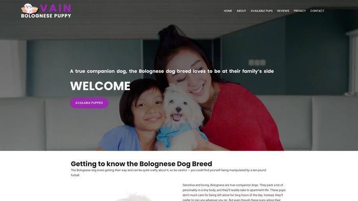 Vainbolognesepuppy.com - Maltese Puppy Scam Review