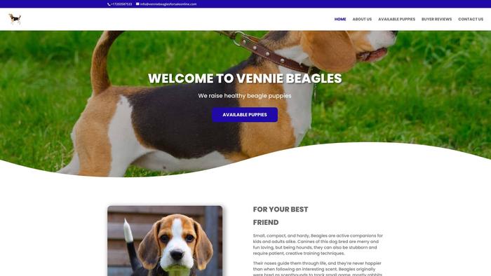 Venniebeaglesforsaleonline.com - Beagle Puppy Scam Review