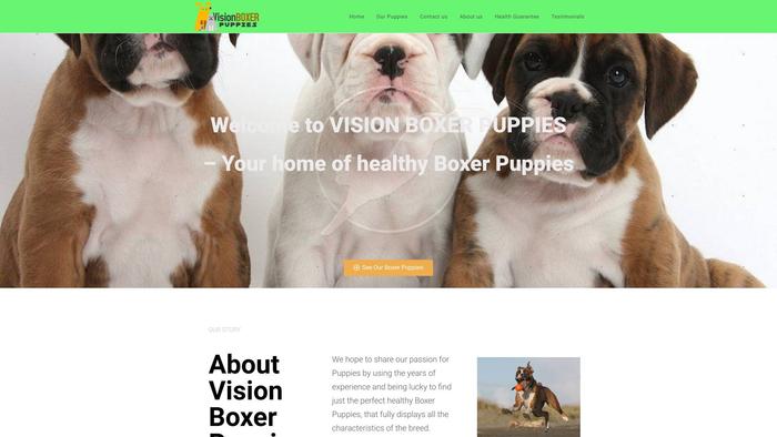 Visionboxer.com - Boxer Puppy Scam Review