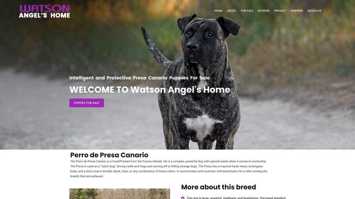 Watsonangelshome.com - Cane Corso Puppy Scam Review