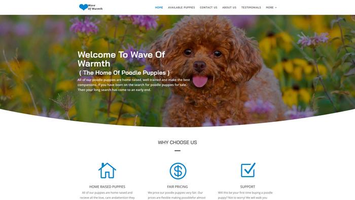 Waveofwarmth.com - Poodle Puppy Scam Review