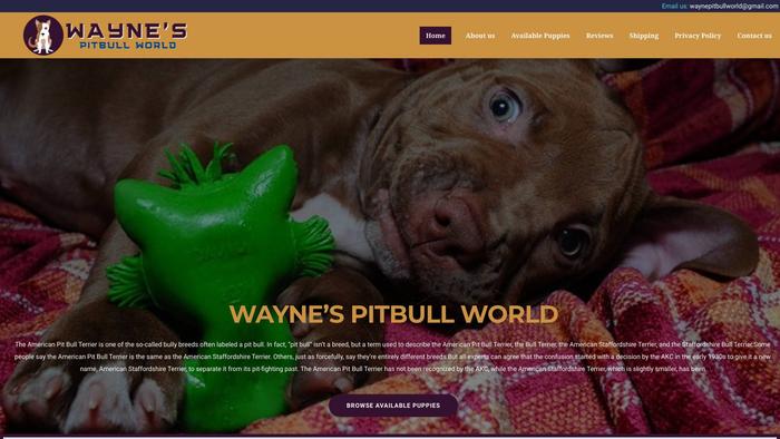 Waynepitbullworld.com - Pit Bull Puppy Scam Review