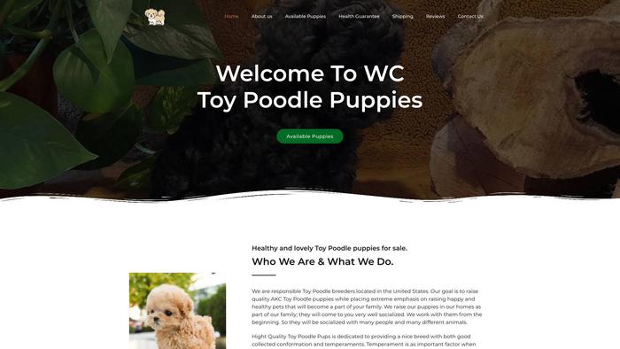 Wctoypoodles.com - Poodle Puppy Scam Review