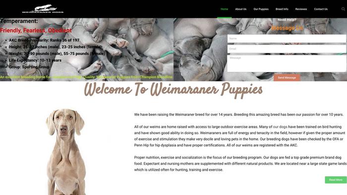 Weimaranerdogsforyou.com - Weimaraner Puppy Scam Review