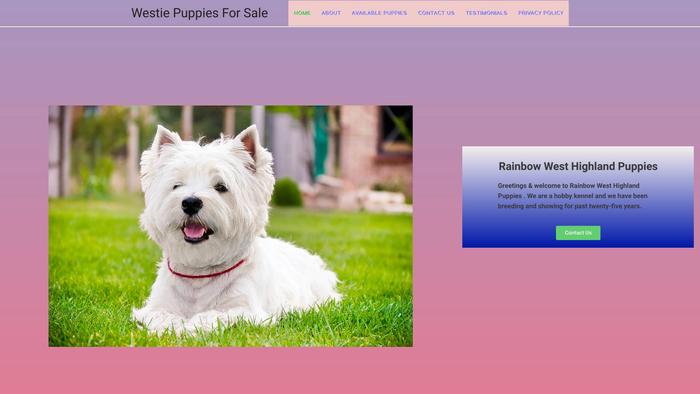 Westiepuppysale.com - Terrier Puppy Scam Review