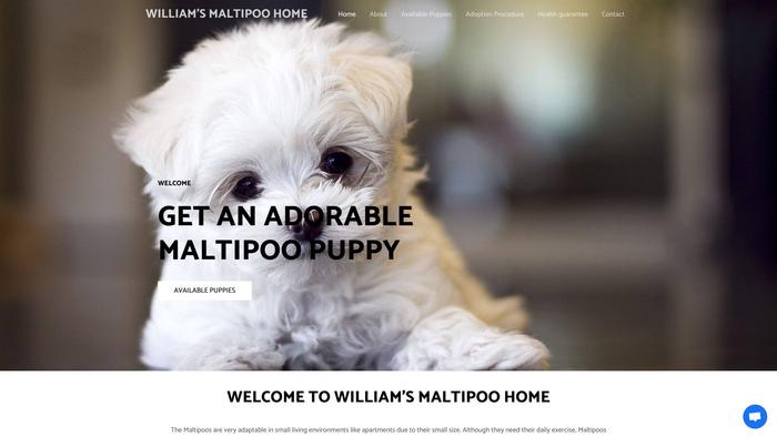 Williamsmaltipoohome.com - Maltipoo Puppy Scam Review