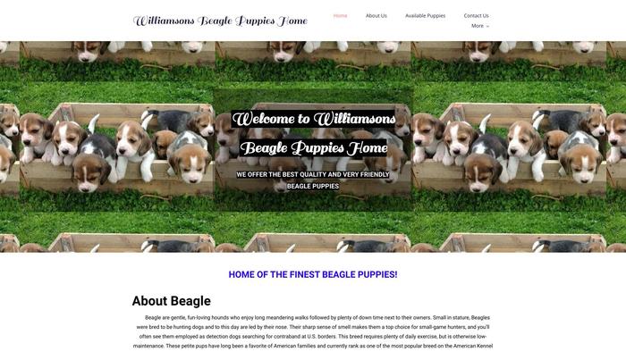 Williamsonsbeaglepuppieshome.com - Beagle Puppy Scam Review