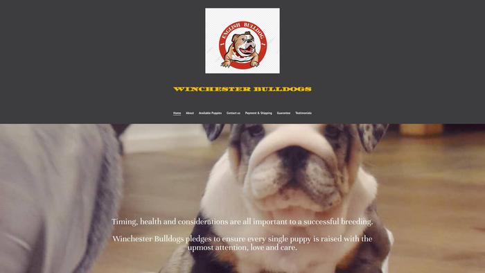 Winchesterbulldogs.com - Bulldog Puppy Scam Review