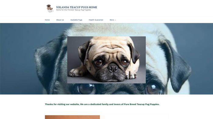 Yolandapugshome.com - Pug Puppy Scam Review