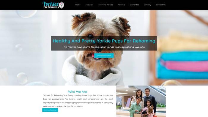 Yorkiesforrehoming.com - Yorkshire Terrier Puppy Scam Review