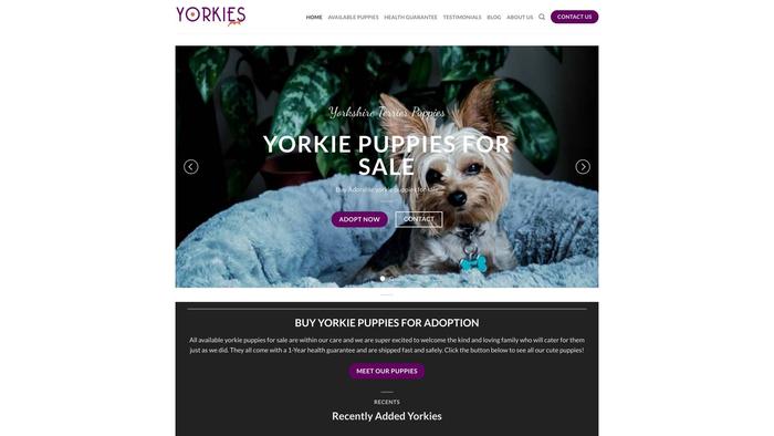 Yorkiespark.com - Yorkshire Terrier Puppy Scam Review