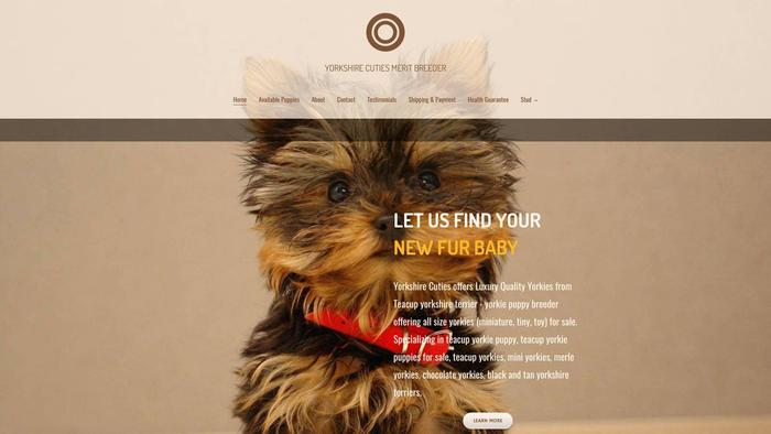 Yorkshirecuties.com - Yorkshire Terrier Puppy Scam Review