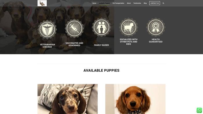 Zeuspuppys.online - Dachshund Puppy Scam Review