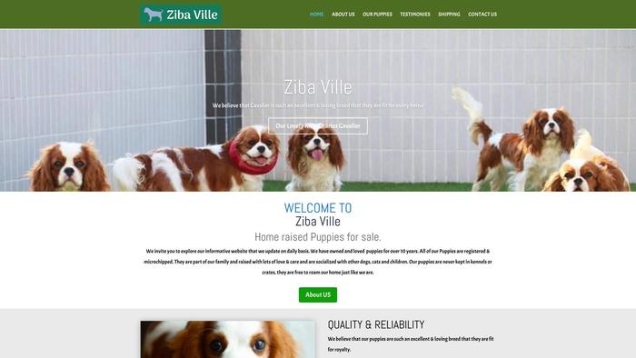 Zibaville.com - Cavalier King Charles Spaniel Puppy Scam Review