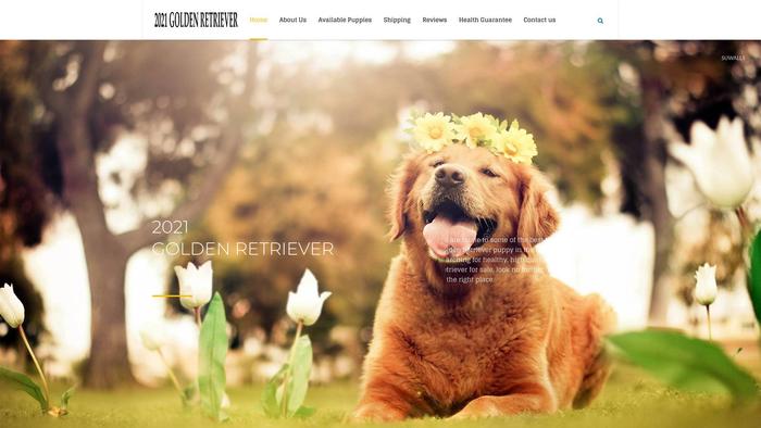 2021goldenretriever.com - Golden Retriever Puppy Scam Review