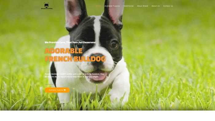 Adorablefrenchbulldogz.com - French Bulldog Puppy Scam Review