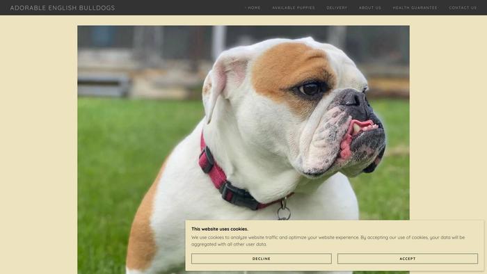 Adoreenglishbulldog.com - English Bulldog Puppy Scam Review