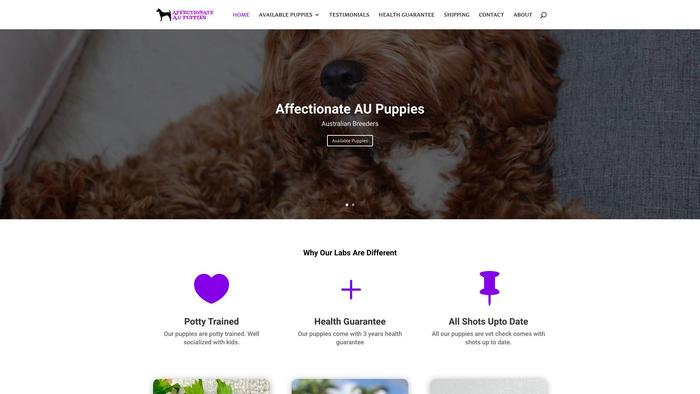 Affectionate-au-puppies.com - Cavalier King Charles Spaniel Puppy Scam Review