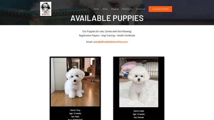 Affordablebichonfrise.com - Bichon Frise Puppy Scam Review