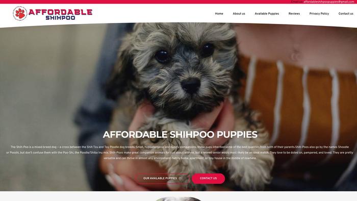 Affordableshihpoo.com - Shihpoo Puppy Scam Review