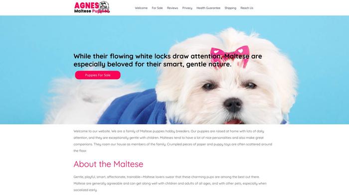 Agnesmaltesepuppies.com - Maltese Puppy Scam Review