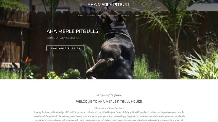 Ahamerlepitbull.com - Pit Bull Puppy Scam Review