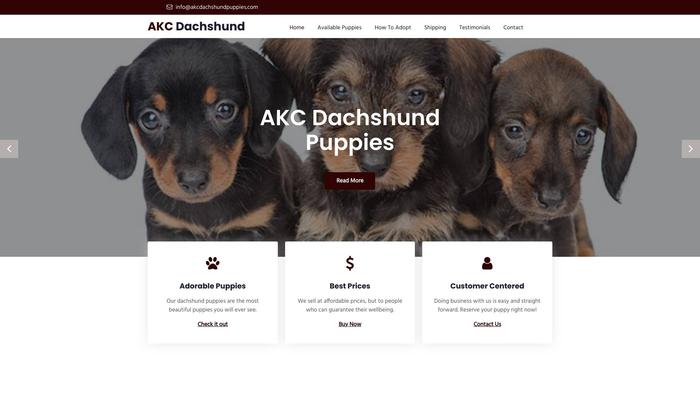 Akcdachshundpuppies.com - Dachshund Puppy Scam Review