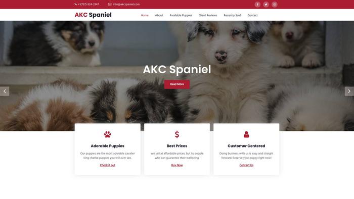 Akcspaniel.com - Spaniel Puppy Scam Review