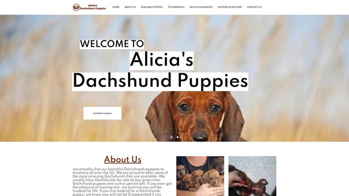 Aliciadachshundpuppies.com - Dachshund Puppy Scam Review