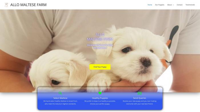 Allomaltesefarm.com - Maltese Puppy Scam Review